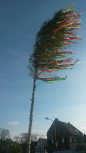 Mehr über den Artikel erfahren Maibaumfest Kleinbüllesheim