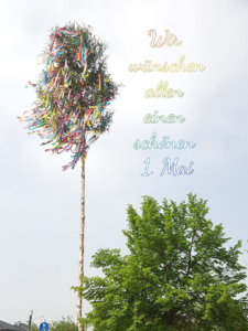 Mehr über den Artikel erfahren Maibaum 2019