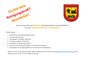 Mehr über den Artikel erfahren Reinigungskraft gesucht Dorfgemeinschaftshaus Wüschheim Büllesheim Flyer Dezember 2022
